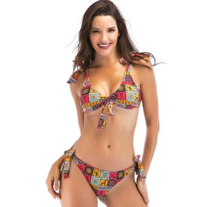 Triangle Print Brazilian Swimwear Bikini