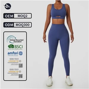 New Hot Cheap Price Customization Set Sport Wear For Woman Gym Manufacturer China