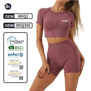 Women Summer Seamless Yoga Set Fitness Gym Clothing Yoga T-shirts High Waist Shorts Sports Suits